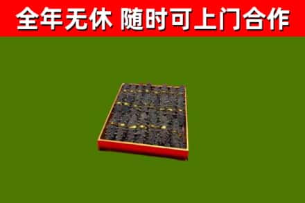 屯昌回收海参